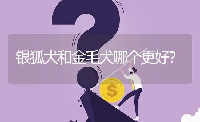 银狐犬和金毛犬哪个更好？ | 动物养殖问答