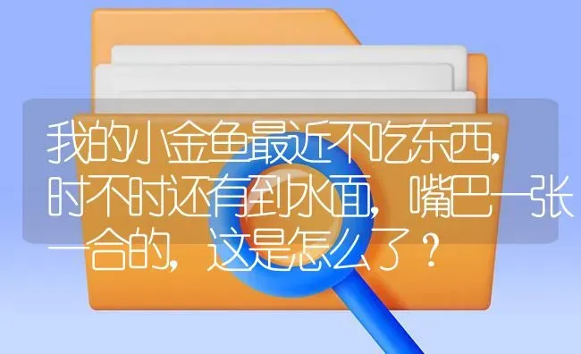 我的小金鱼最近不吃东西，时不时还有到水面，嘴巴一张一合的，这是怎么了？ | 鱼类宠物饲养