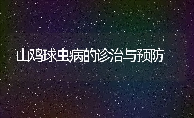 山鸡球虫病的诊治与预防 | 水产养殖知识