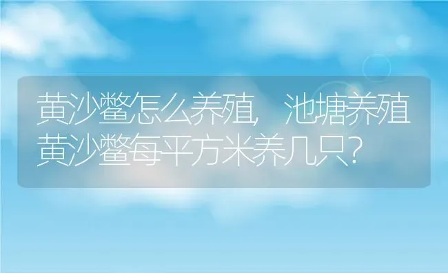 黄沙鳖怎么养殖,池塘养殖黄沙鳖每平方米养几只？ | 动物养殖百科