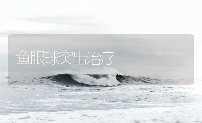 鱼眼球突出治疗 | 海水养殖技术