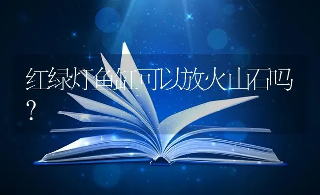 红绿灯鱼缸可以放火山石吗？ | 鱼类宠物饲养