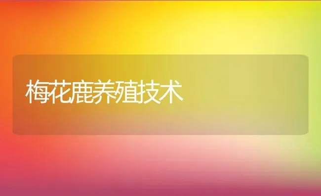 梅花鹿养殖技术 | 动物养殖教程