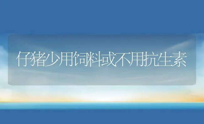 仔猪少用饲料或不用抗生素 | 动物养殖学堂