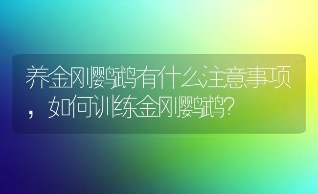 养金刚鹦鹉有什么注意事项，如何训练金刚鹦鹉？ | 动物养殖问答