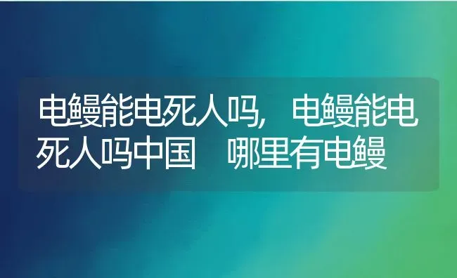 电鳗能电死人吗,电鳗能电死人吗中国 哪里有电鳗 | 宠物百科知识