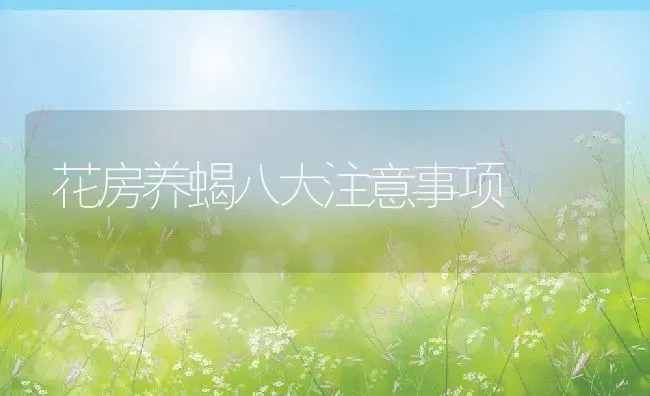 花房养蝎八大注意事项 | 动物养殖百科