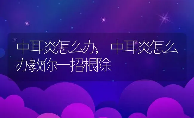 中耳炎怎么办,中耳炎怎么办教你一招根除 | 宠物百科知识