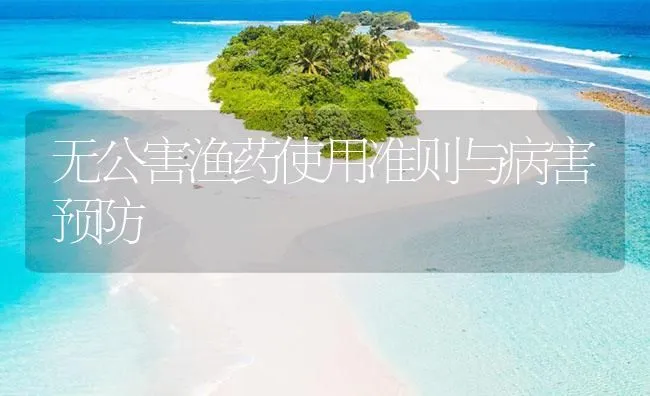 无公害渔药使用准则与病害预防 | 海水养殖技术