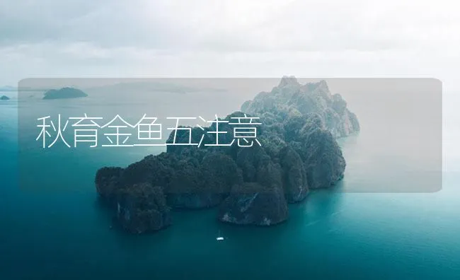 秋育金鱼五注意 | 海水养殖技术