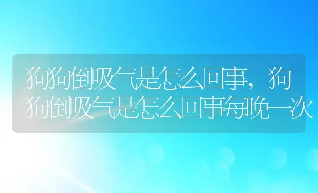 狗狗倒吸气是怎么回事,狗狗倒吸气是怎么回事每晚一次 | 宠物百科知识