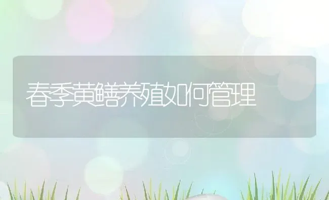 春季黄鳝养殖如何管理 | 动物养殖百科