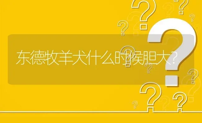 东德牧羊犬什么时候胆大？ | 动物养殖问答