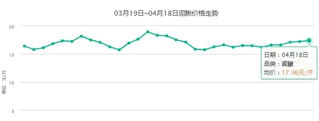 现在泥鳅价格行情分析