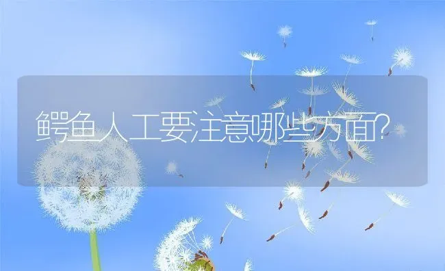 鳄鱼人工要注意哪些方面？ | 动物养殖百科