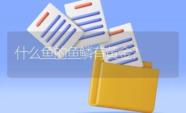 兔子可以吃糠和玉米面吗？ | 动物养殖问答