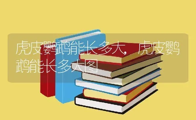 虎皮鹦鹉能长多大,虎皮鹦鹉能长多大图 | 宠物百科知识