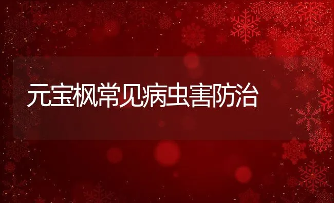 元宝枫常见病虫害防治 | 水产养殖知识