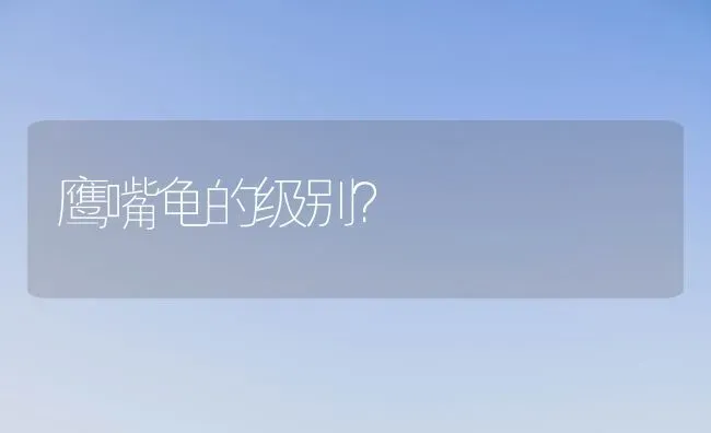 鹰嘴龟的级别？ | 动物养殖问答