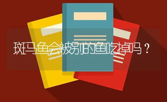 斑马鱼会被别的鱼吃掉吗？ | 鱼类宠物饲养