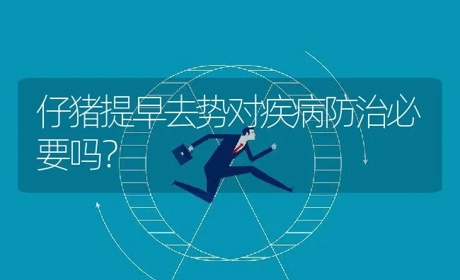 仔猪提早去势对疾病防治必要吗？ | 动物养殖学堂