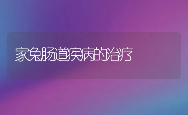 家兔肠道疾病的治疗 | 动物养殖学堂