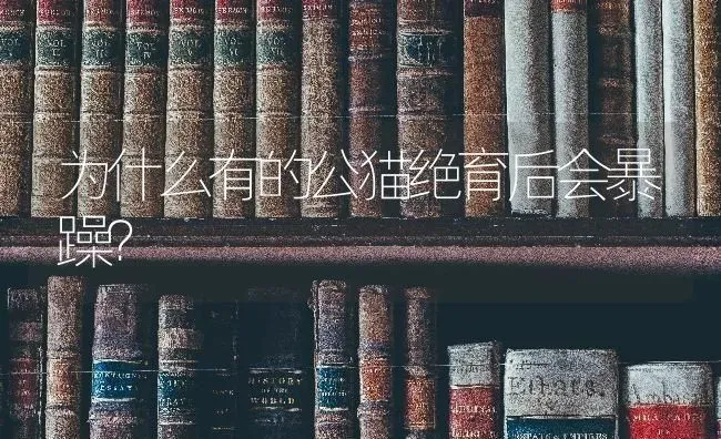 为什么有的公猫绝育后会暴躁？ | 动物养殖问答