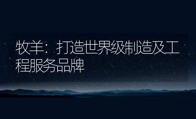 浅谈提高奶牛受胎率的有效措施 | 动物养殖学堂