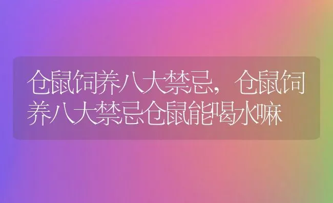 仓鼠饲养八大禁忌,仓鼠饲养八大禁忌仓鼠能喝水嘛 | 宠物百科知识