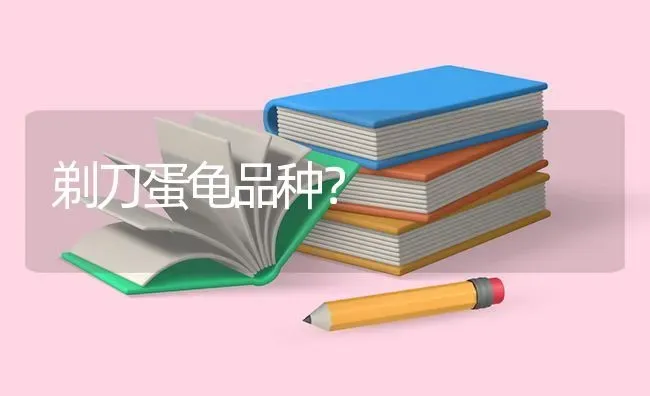 剃刀蛋龟品种？ | 动物养殖问答