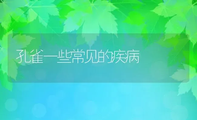 孔雀一些常见的疾病 | 动物养殖百科