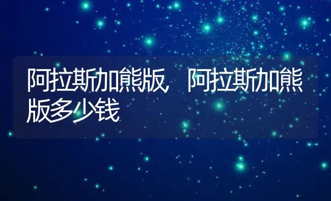 阿拉斯加熊版,阿拉斯加熊版多少钱 | 宠物百科知识