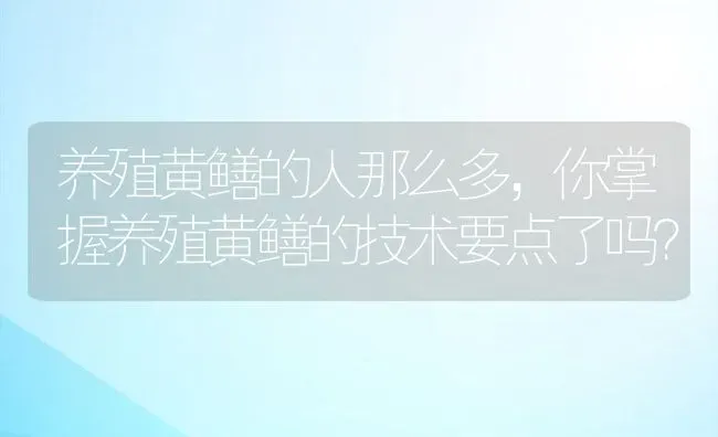 养殖黄鳝的人那么多，你掌握养殖黄鳝的技术要点了吗？ | 动物养殖百科