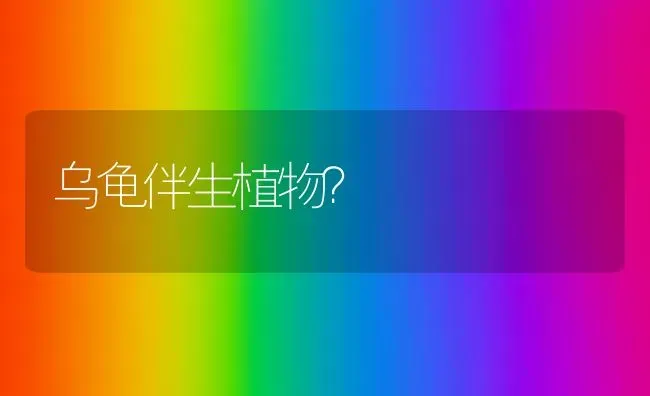 狗狗不吃不喝也不动，就趴着，蜷着在一边。不知道为啥？ | 动物养殖问答