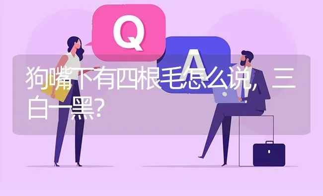 狗嘴下有四根毛怎么说，三白一黑？ | 动物养殖问答