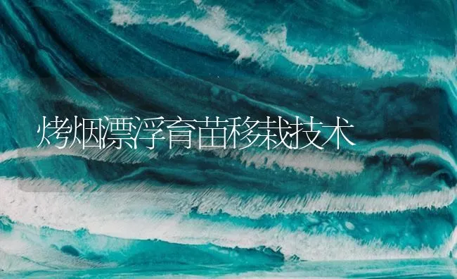 烤烟漂浮育苗移栽技术 | 海水养殖技术