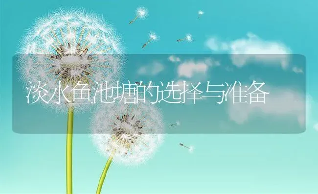 淡水鱼池塘的选择与准备 | 动物养殖教程