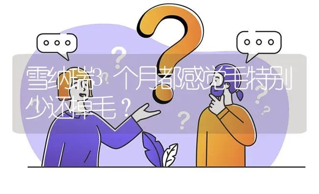 雪纳瑞3个月都感觉毛特别少还掉毛？ | 动物养殖问答