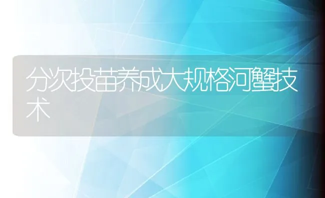 分次投苗养成大规格河蟹技术 | 动物养殖饲料