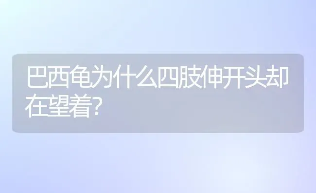 巴西龟为什么四肢伸开头却在望着？ | 动物养殖问答