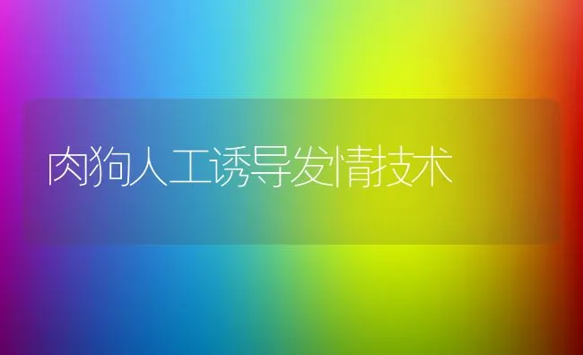 肉狗人工诱导发情技术 | 动物养殖学堂