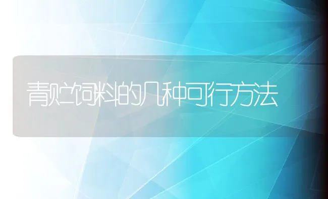 青贮饲料的几种可行方法 | 动物养殖饲料