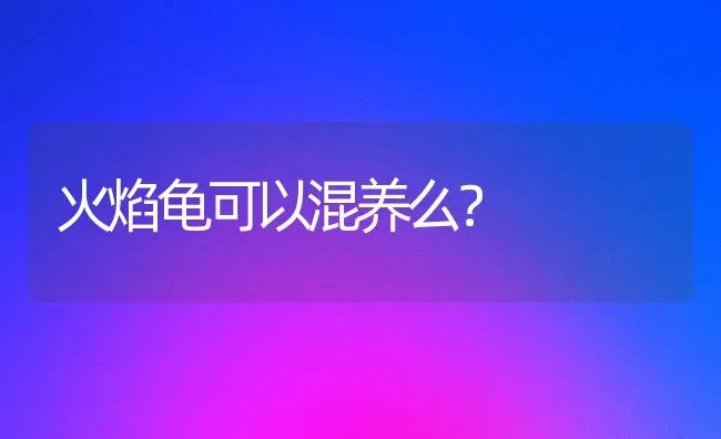 火焰龟可以混养么？ | 动物养殖问答