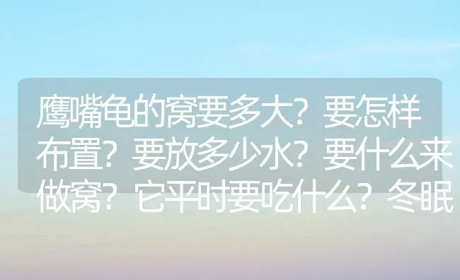 鹰嘴龟的窝要多大？要怎样布置？要放多少水？要什么来做窝？它平时要吃什么？冬眠时要怎么做？请详细点？ | 动物养殖问答