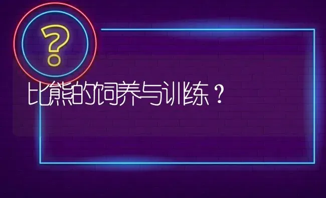 比熊的饲养与训练？ | 动物养殖问答