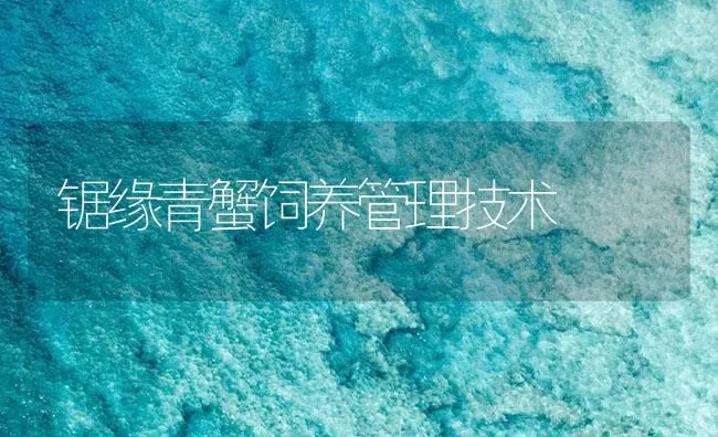 锯缘青蟹饲养管理技术 | 海水养殖技术