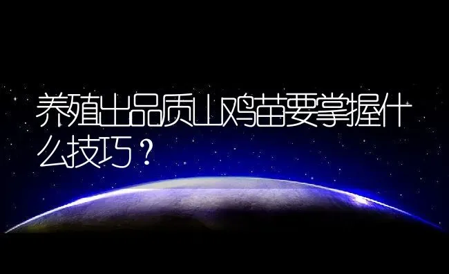 养殖出品质山鸡苗要掌握什么技巧？ | 动物养殖百科