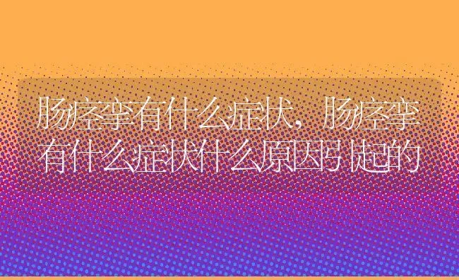 肠痉挛有什么症状,肠痉挛有什么症状什么原因引起的 | 宠物百科知识