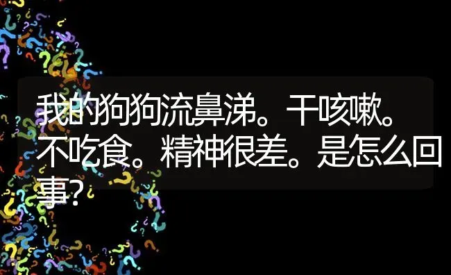 我的狗狗流鼻涕。干咳嗽。不吃食。精神很差。是怎么回事？ | 动物养殖问答