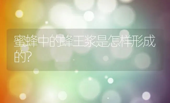 蜜蜂中的蜂王浆是怎样形成的？ | 动物养殖百科